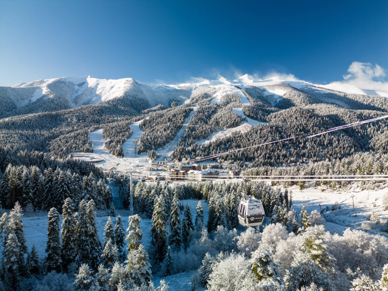 Фотогалерея