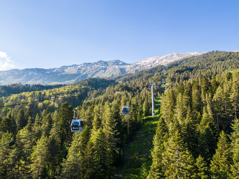 Млечный путь