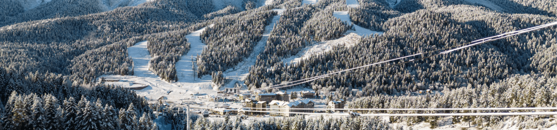 Порядок предоставления в аренду земельных участков