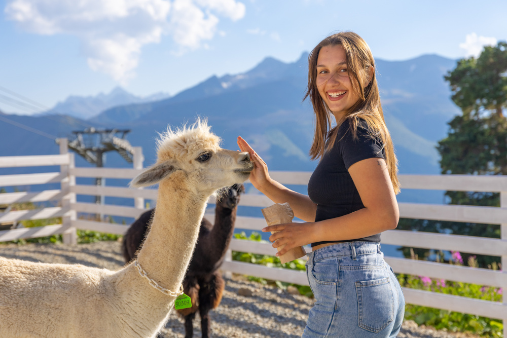 Услуги и развлечения