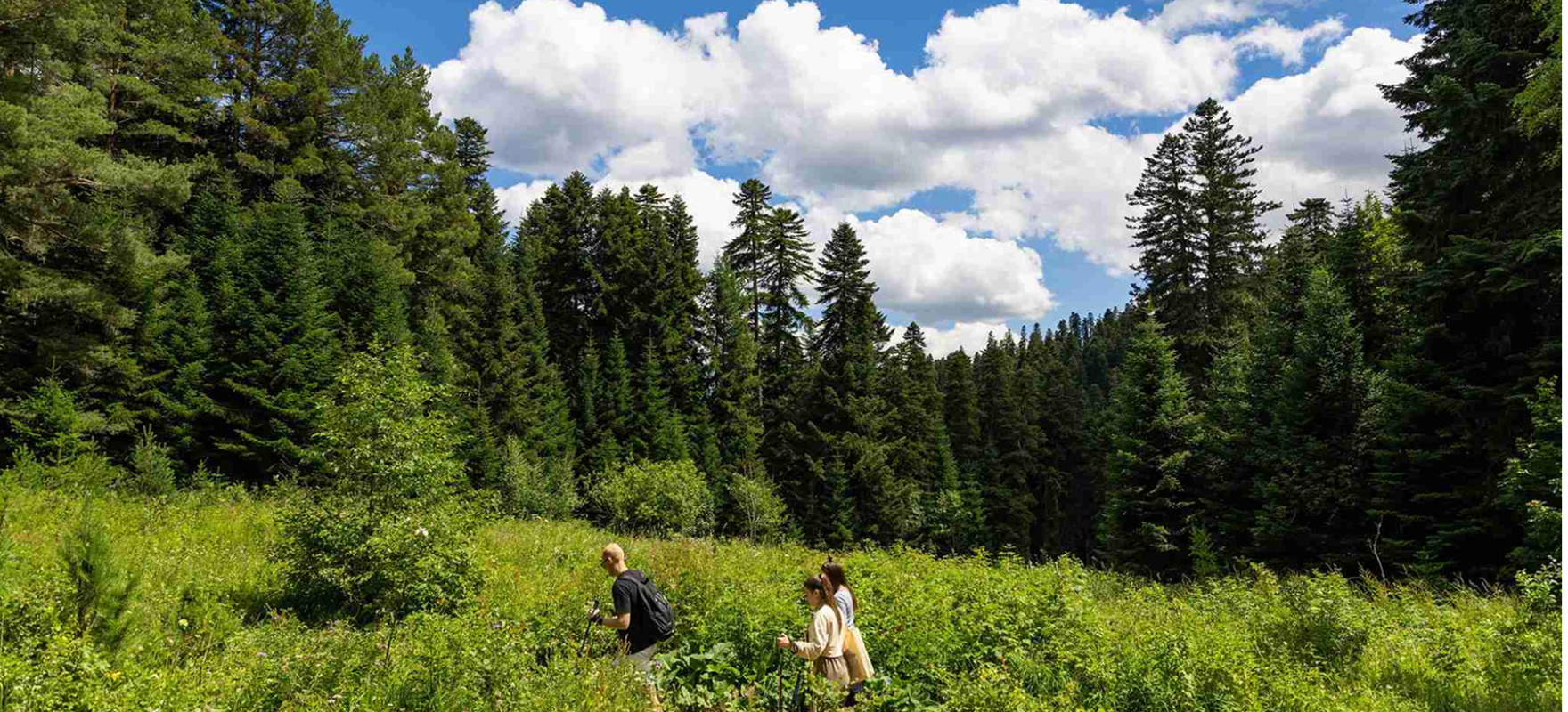 Тропа «Пихтовая». Северный склон.